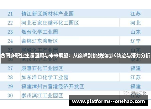 费南多职业生涯回顾与未来展望:从巅峰到挑战的成长轨迹与潜力分析 费南多职业生涯回顾与未来展望:从巅峰到挑战的成长轨迹与潜力分析