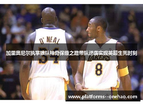 加里奥尼尔执掌狼队神奇保级之路带队逆袭实现英超生死时刻