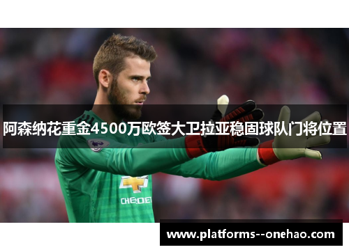阿森纳花重金4500万欧签大卫拉亚稳固球队门将位置 阿森纳花重金4500万欧签大卫拉亚稳固球队门将位置